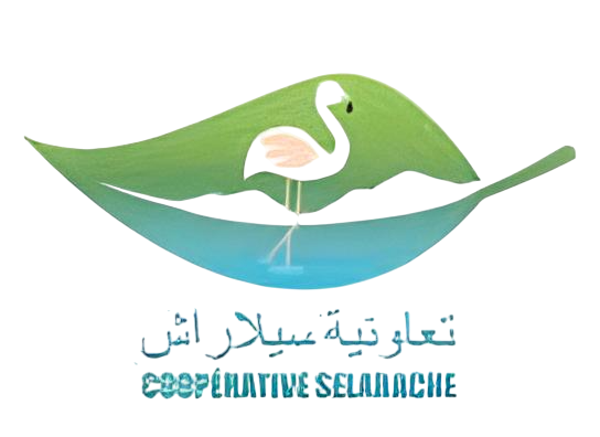 logo_cooperative_sel_larache_transparent