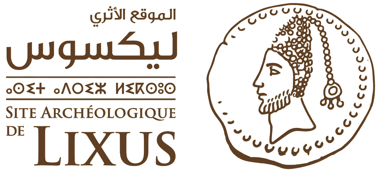logo_site_lixus_transparent
