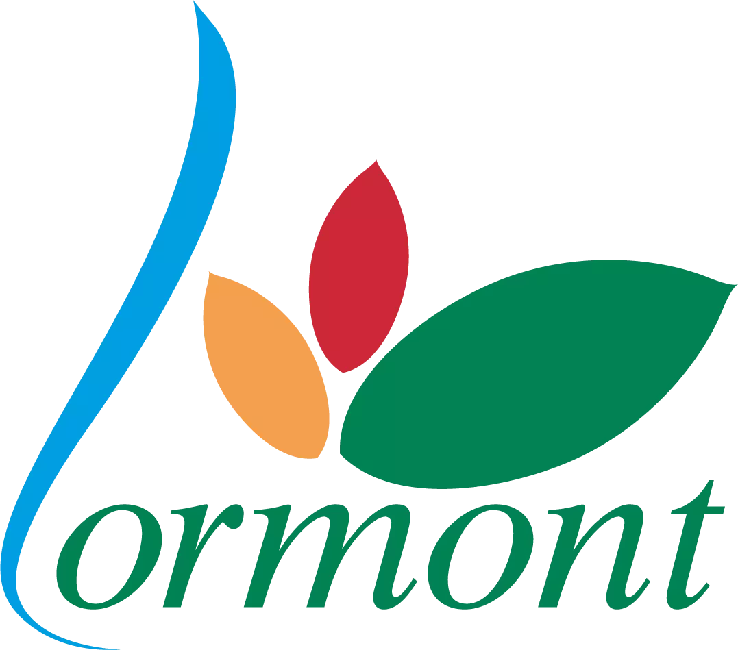logo_lormont_transparent.webp