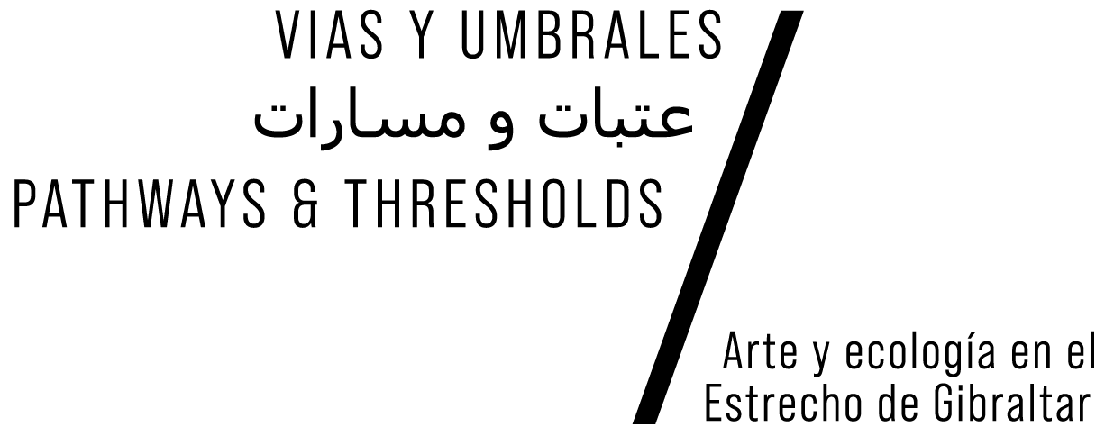 logo vias umbrales-04
